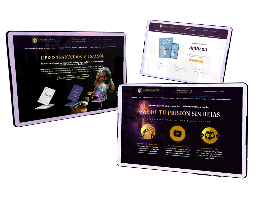 Original Carlos Lavado website designed by César